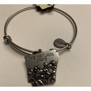 Bella Ryann Arizona Expandable Bangle Charm Bracelet Natural State NEW in PKG